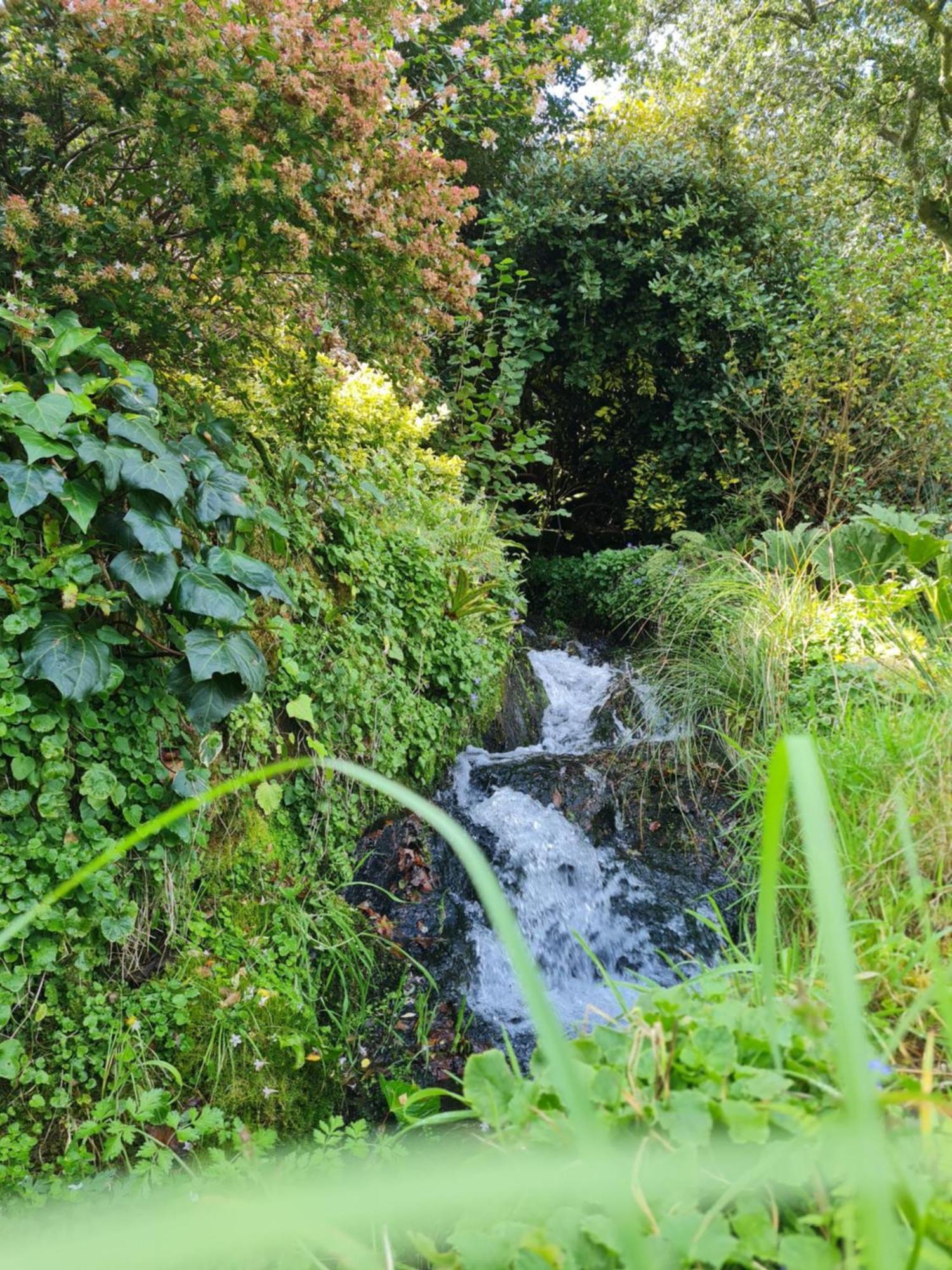 PlogonnecMoulin De Bonnescat别墅 外观 照片